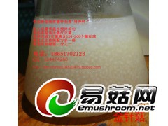 金针菇 液体菌种天然配方 发酵罐 培养基 营养料 培养料图2