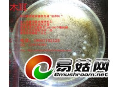 木耳 液体菌种天然配方 发酵罐 培养基 营养料 培养料图1