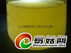 北虫草 液体菌种 免煮 培养料 发酵罐 高效免煮配方图1