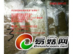 杏鲍菇 液体菌种天然配方 发酵罐 培养基 营养料 培养料图3