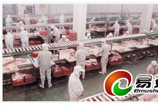 湯陰打造中國健康食品產(chǎn)業(yè)基地——全國食品工業(yè)強(qiáng)縣之湯陰模式解析 ()