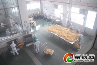 金大洲食品 爭做中國金針菇產(chǎn)業(yè)持續(xù)領(lǐng)跑者 ()