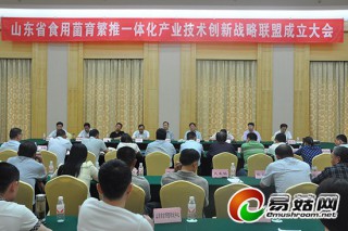 企業(yè)高校聯(lián)姻　產(chǎn)學(xué)研結(jié)合共同創(chuàng)新——山東省食用菌技術(shù)創(chuàng)新聯(lián)盟在鄒城成立 ()