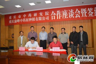云陽縣將建首個(gè)烏天麻野生培育及深加工基地 ()