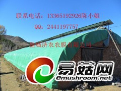 绿白膜，香菇用散射光膜图1