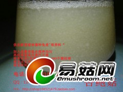 杏鲍菇 液体菌种天然配方 发酵罐 培养基 营养料 培养料图1