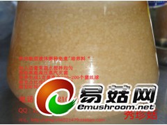 秀珍菇 凤尾菇 姬菇 液体菌种发酵罐 培养基 培养料 营养料图2