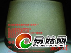 木耳 液体菌种天然配方 发酵罐 培养基 营养料 培养料图2