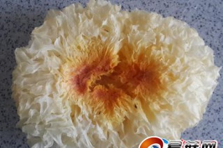 東營：因食用硫磺熏制銀耳 市民嘔吐不止進(jìn)醫(yī)院 ()