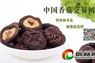 香菇品牌識(shí)別確保舌尖上的安全 ()