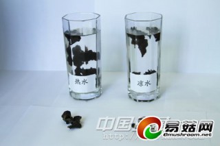 黑木耳泡水變墨汁 12315回應(yīng)以次充好 ()
