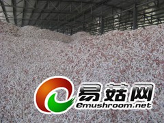 供应食用菌用玉米芯颗粒图1