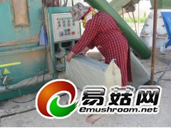 供应食用菌用玉米芯颗粒图2