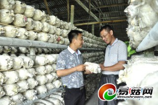 致富能手帶領(lǐng)農(nóng)戶發(fā)展食用菌 戶均年增收3萬(wàn)余元 ()