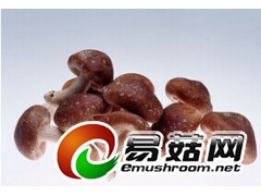 求购香菇，每月10吨左右图1