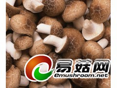 收购香菇、花菇、金针菇、杏鲍菇等食用菌图2