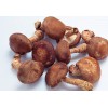 求购鲜香菇每5吨/天、鲜蘑菇每天3吨，