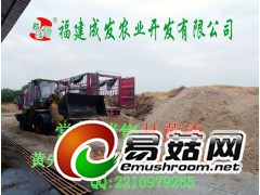 供应广西甘蔗渣图1