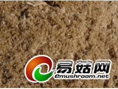 供应广西甘蔗渣图2