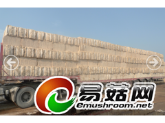 供应广西甘蔗渣混合渣（每年12到次年4月）图1