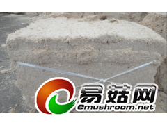 供应广西甘蔗渣混合渣（每年12到次年4月）图2