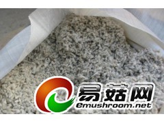 大量收购棉花籽图1