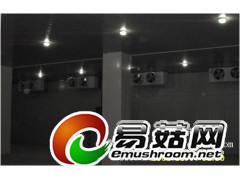 金针菇、鲍菇冷库安装厂家-蘑菇冷藏库设计方案-蟹味菇冷库公司图2