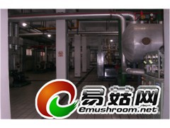 食用菌养殖冷库安装-平菇冷库建造价格-黑木耳冷库专供商家图1