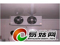 食用菌养殖冷库安装-平菇冷库建造价格-黑木耳冷库专供商家图2
