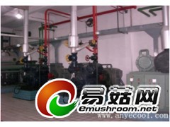 食用菌养殖冷库安装-平菇冷库建造价格-黑木耳冷库专供商家图3