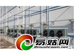 香菇冷库厂家-香菇冷库报价-香菇生产库建造-草菇养殖冷库安装图1