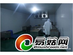 25金针菇保温库-小型金针菇生长保鲜库建造报价-食用菌冷藏库图1
