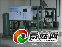 食用菌冷库养殖-菌菇冷库种植方法-蘑菇冷库建造-冷藏库技术图3