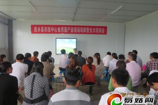 西鄉(xiāng)：觀摩食用菌產(chǎn)業(yè) 提升農(nóng)技服務(wù)能力 ()
