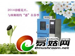 上海高低温试验箱直销LRHS高低温试验箱厂家直销图2