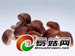 求购香菇欧盟农残203项的检测标准的图1