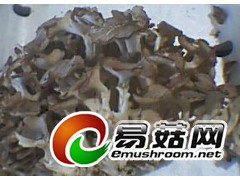 求购东北野生猪苓图1