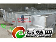 蘑菇清洗脱盐机，金针菇脱盐机，水浴式脱盐机图1