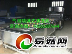 蘑菇清洗脱盐机，金针菇脱盐机，水浴式脱盐机图3
