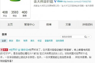助力世界杯金大洲打造“金”牌伴侶 ()