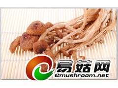 供应礼盒袋装茶树菇图1