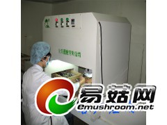 食用菌固体/液体菌种接种机/手动传输净化接种机械（整筐）图1