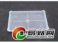 单冻器,临沂单冻器,塑料单冻器,单冻器价格图2