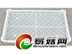 单冻器,临沂单冻器,塑料单冻器,单冻器价格图3