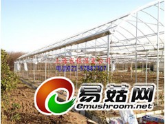 PC阳光板温室图1