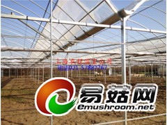 GP-622型单体塑料钢管大棚图1