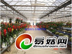 GP-832型单体塑料钢管大棚图1