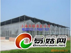 简易连栋温室图1