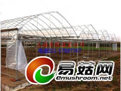 湖北温室大棚设备销售图1
