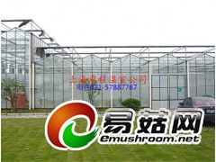 玻璃温室阳光餐厅  生态餐厅  观光温室图1